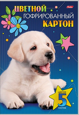 Набор цветного картона "Hatber", 5л, 5цв, А4, 195x280мм, гофрированный, в папке, серия "Белый щенок"